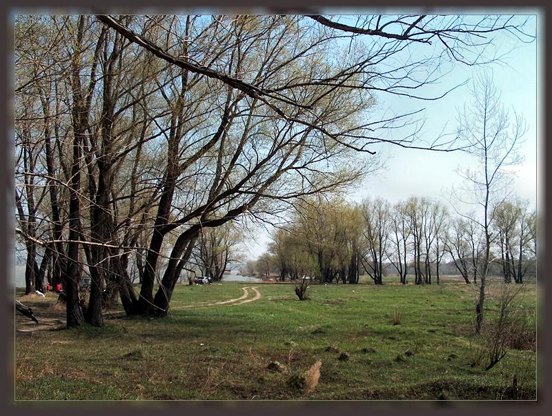 photo "Soon springtime..." tags: landscape, forest, spring