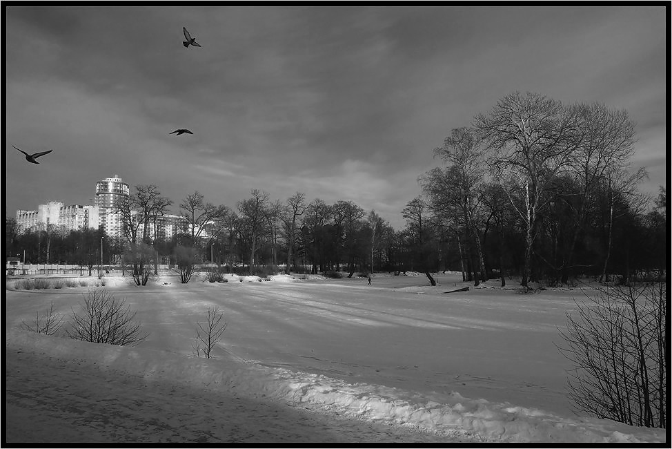 фото "Черно-белая зима" метки: черно-белые, пейзаж, зима