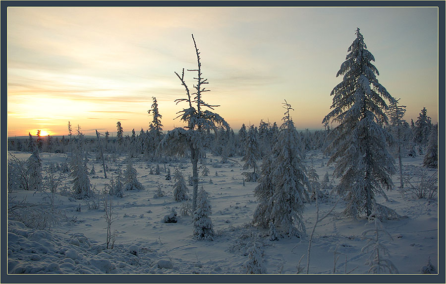 photo "***" tags: landscape, sunset, winter