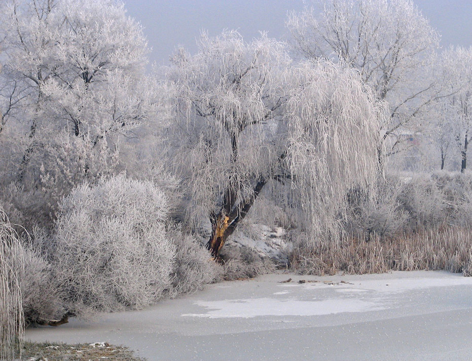 photo "***" tags: landscape, water, winter