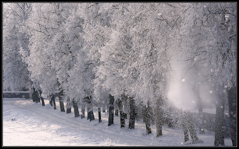 фото "***" метки: пейзаж, зима