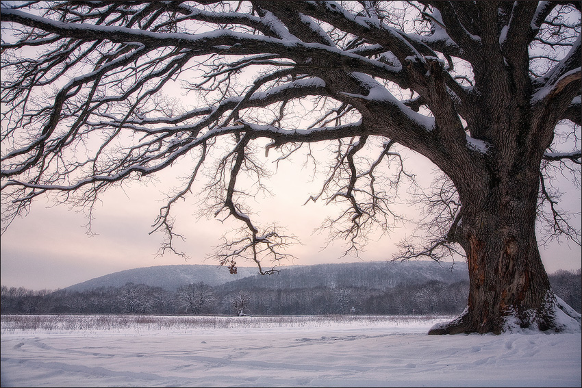 photo "***" tags: landscape, winter