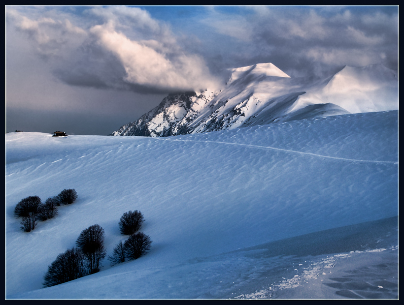 фото "White landscape" метки: пейзаж, зима