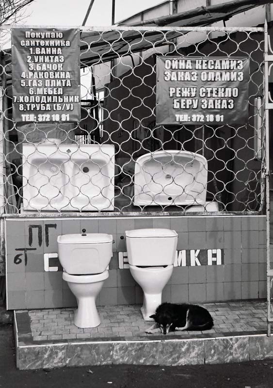photo "***" tags: genre, humor, 
