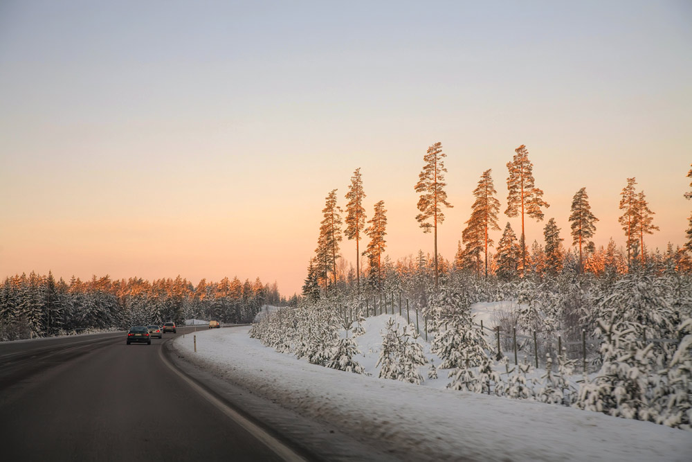 photo "Sunrise above a road." tags: landscape, forest, winter