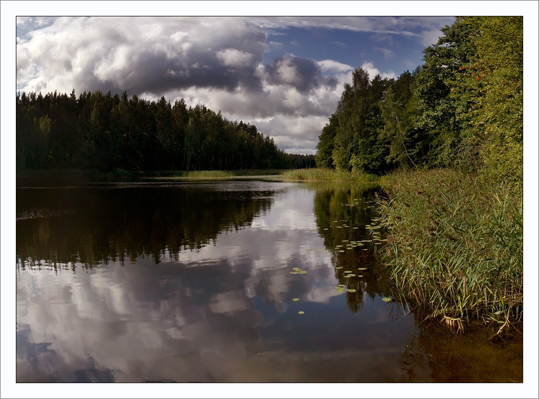 photo "Summer contrasts." tags: landscape, summer, water