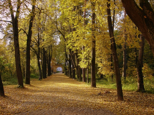 фото "Осенние перспективы..." метки: пейзаж, осень