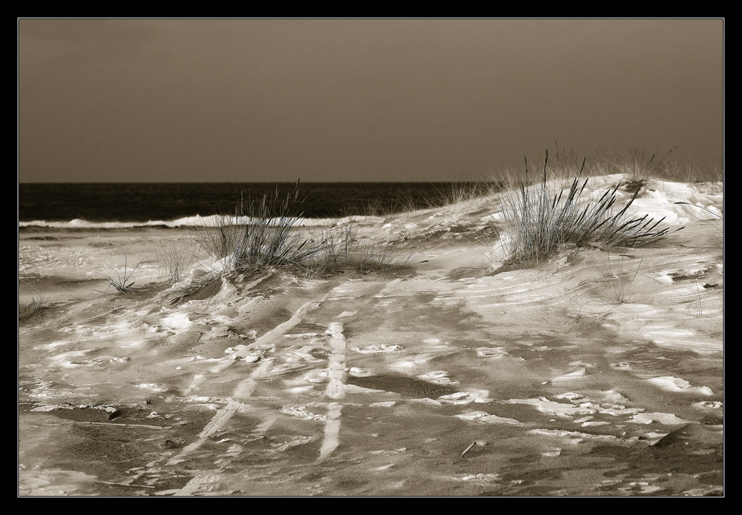 фото "Песком припорошенный" метки: пейзаж, черно-белые, зима