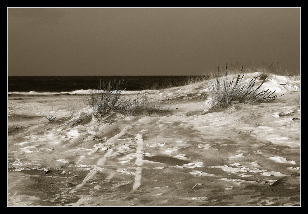 photo "***" tags: landscape, black&white, winter