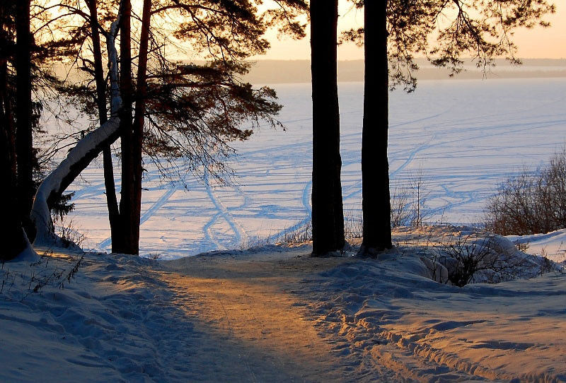 фото "Янтарный февраль" метки: пейзаж, зима, лес