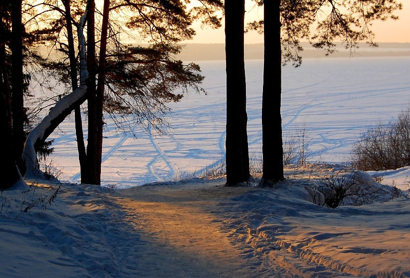 photo "***" tags: landscape, forest, winter