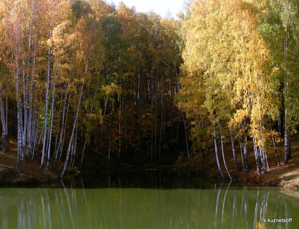 фото "Свет и тень" метки: пейзаж, лес, осень