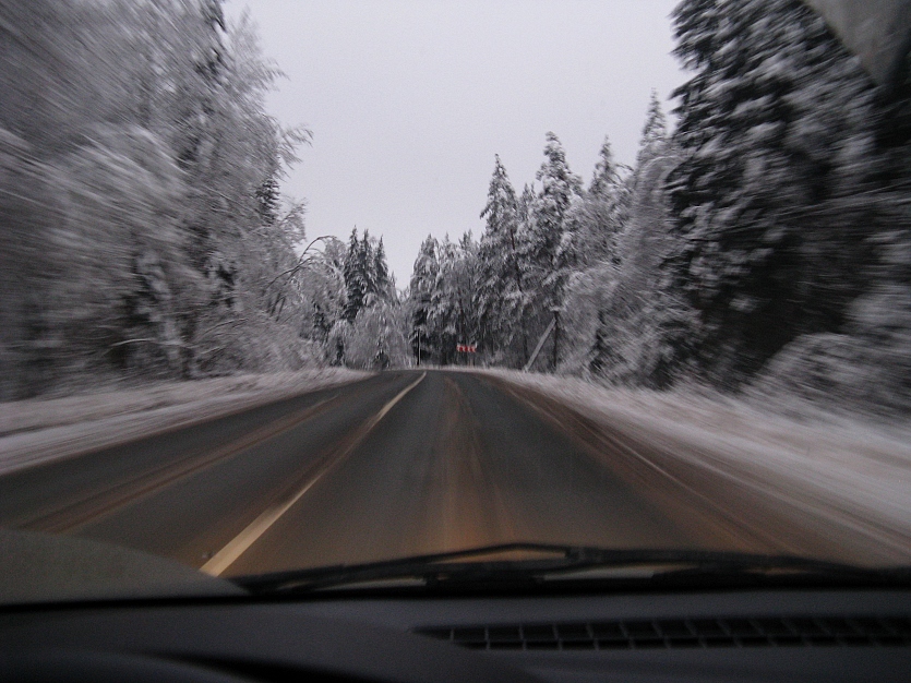 photo "Winter road, no PS" tags: landscape, forest, winter