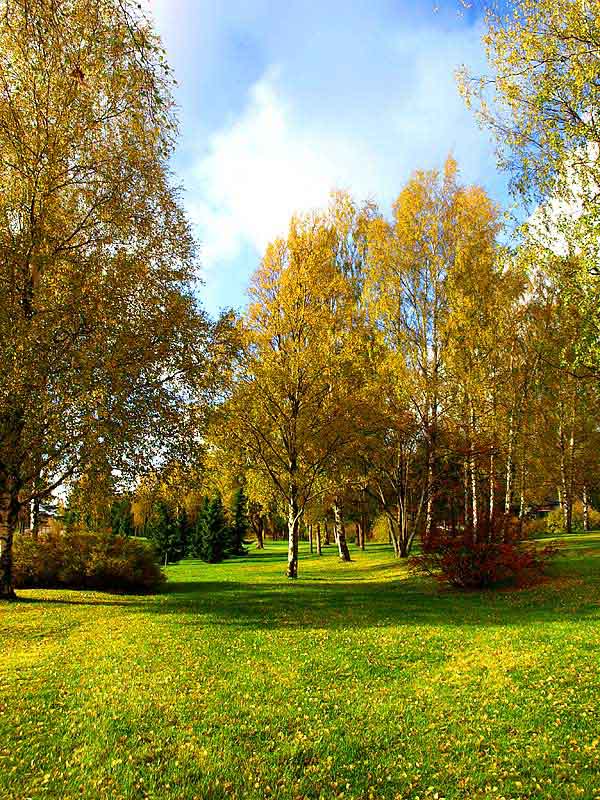 фото "В осеннем парке" метки: пейзаж, лес, осень