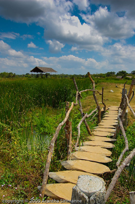 photo "Beauty of Sabaragamuwa" tags: travel, Asia