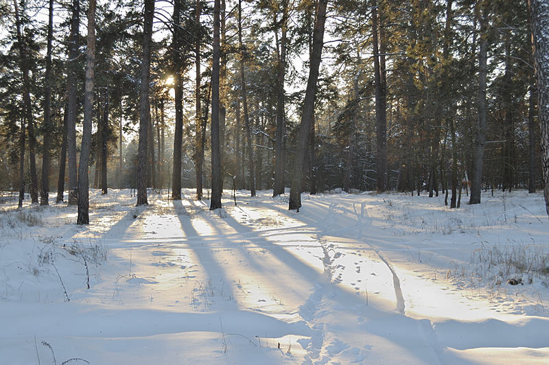 photo "***" tags: landscape, winter