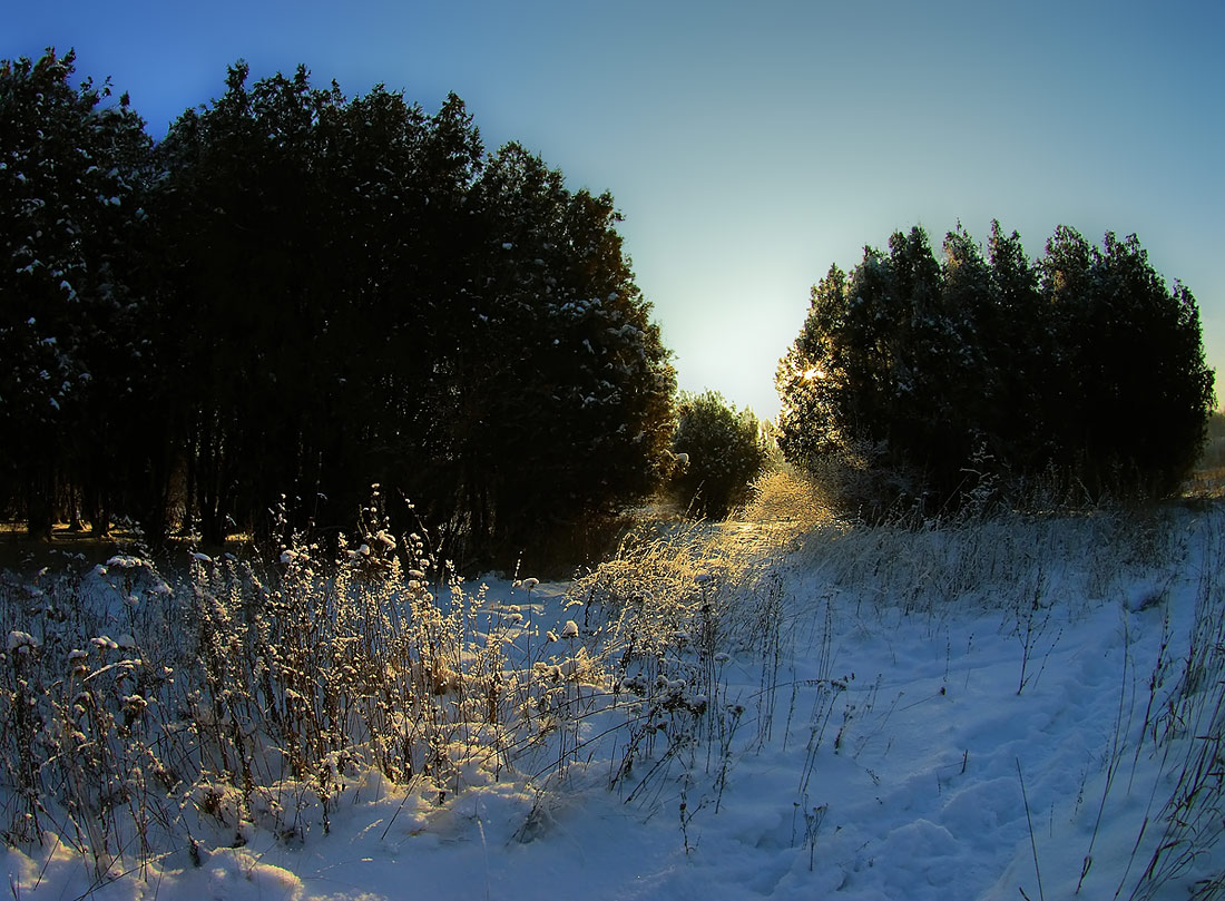 photo "***" tags: landscape, forest, winter