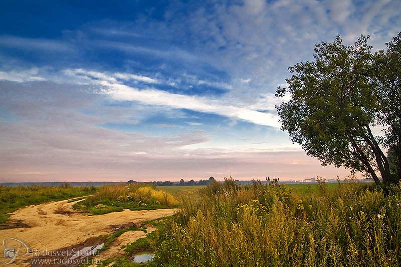 photo "Morning" tags: landscape, summer