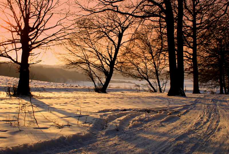 photo "***" tags: landscape, forest, winter