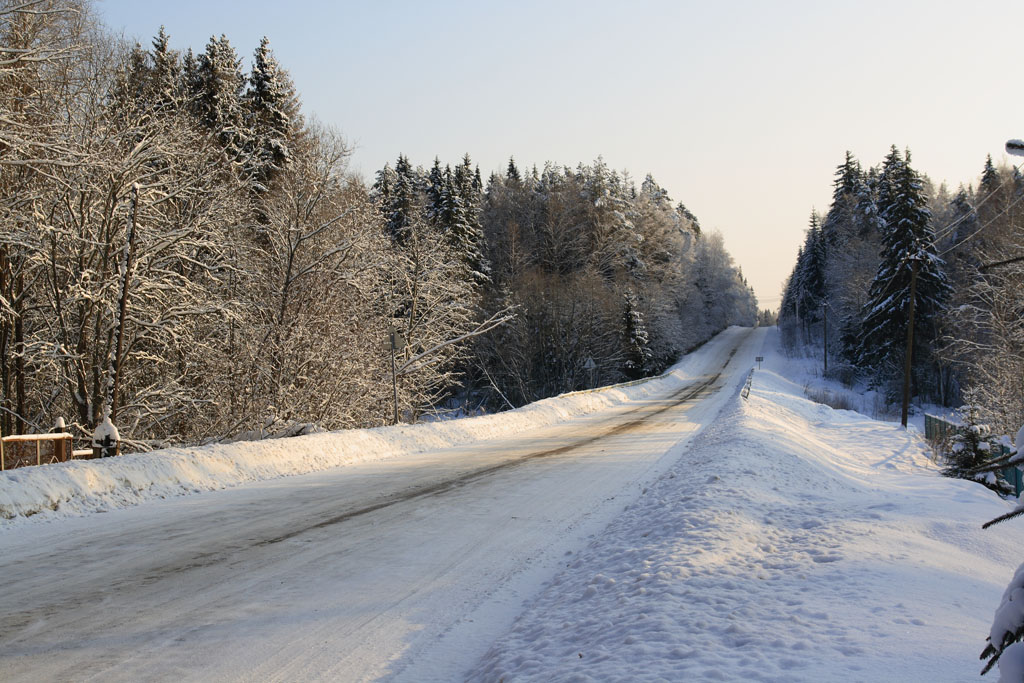 фото "Зимний лес" метки: , 