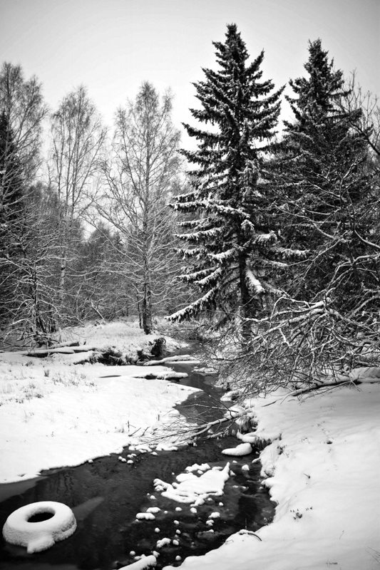 фото "***" метки: пейзаж, зима