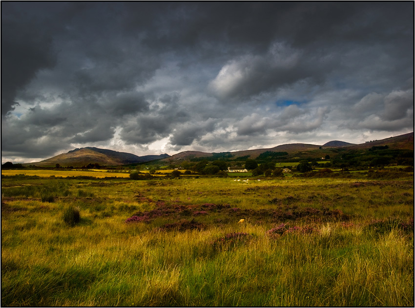 photo "Irish fields" tags: landscape, mountains