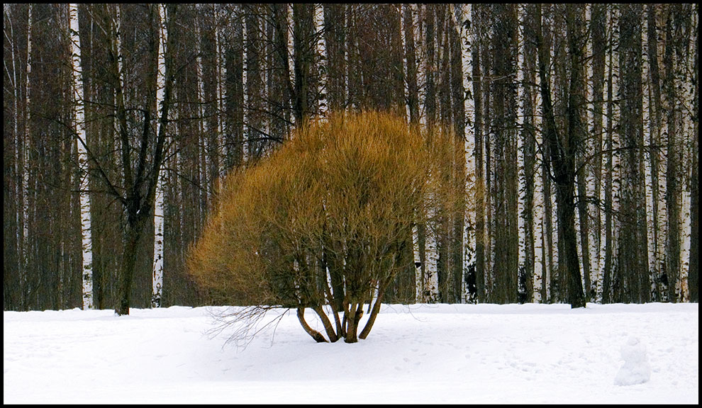 фото "Протестант 1" метки: пейзаж, природа, 