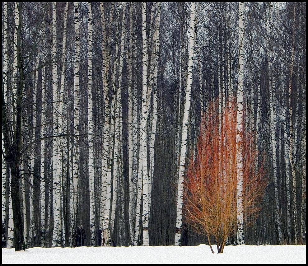 фото "Протестант 2" метки: пейзаж, природа, 