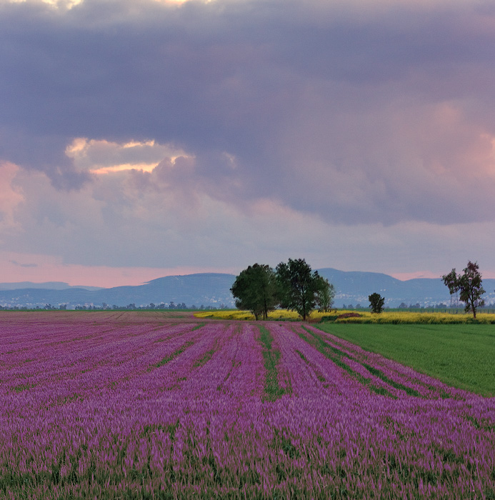 photo "***" tags: landscape, spring, sunset