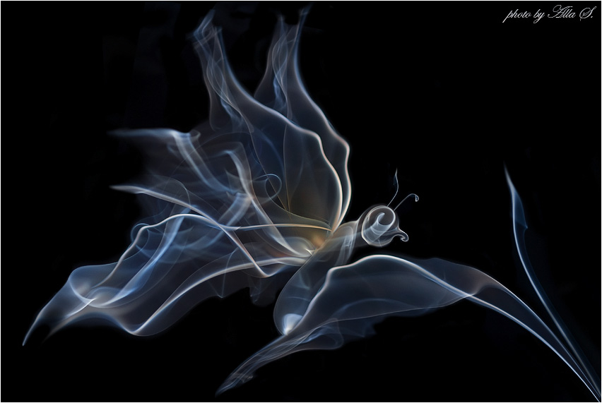 photo "***" tags: abstract, montage, 