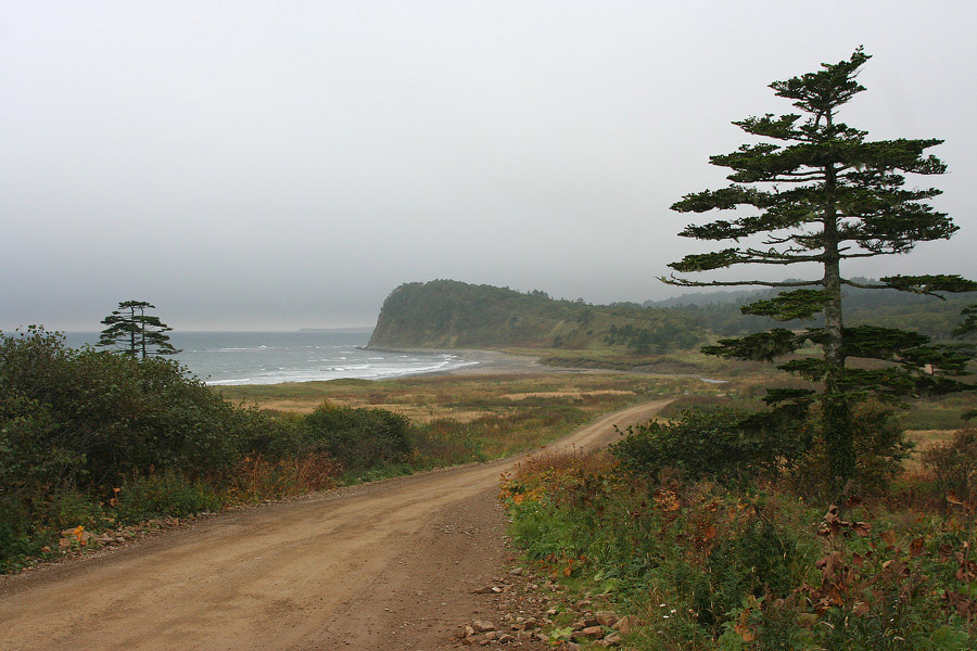 photo "Road to the sea" tags: landscape, autumn