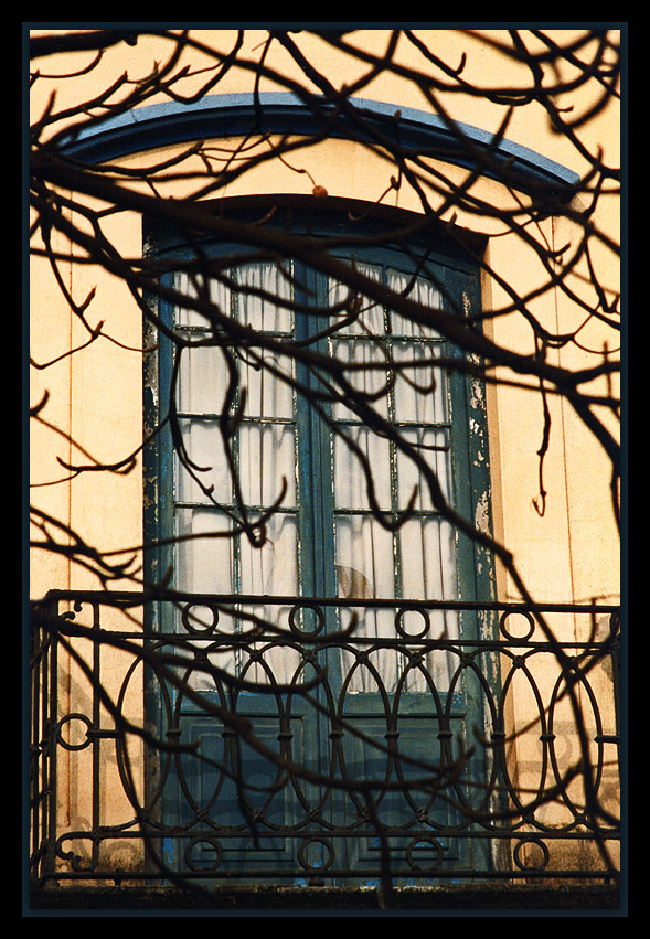 фото "***" метки: разное, 
