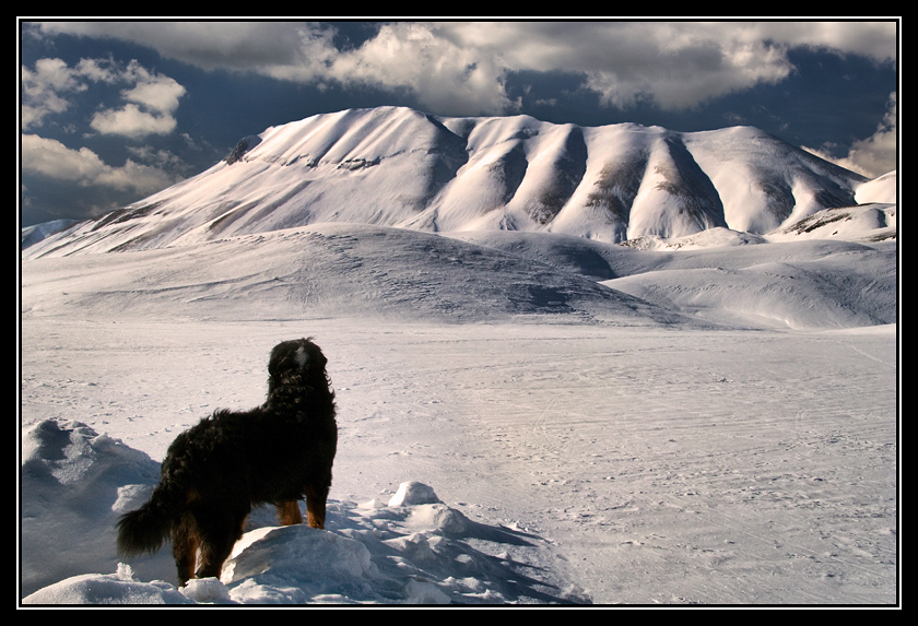 photo "the snow-watcher" tags: landscape, winter
