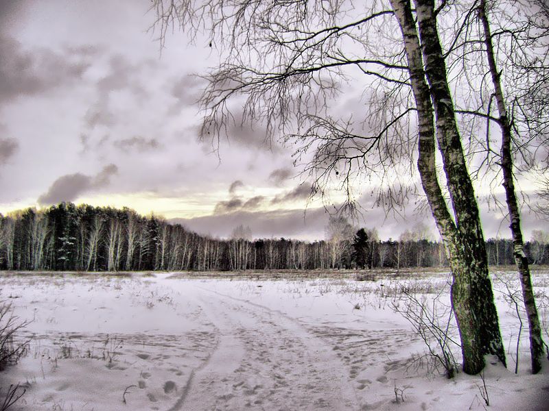 фото "*****" метки: пейзаж, зима, лес