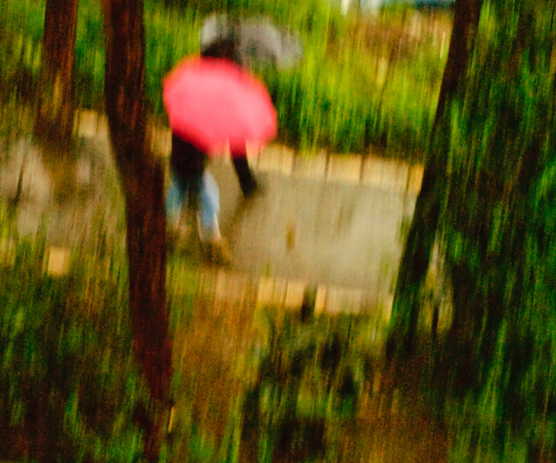 photo "Rain" tags: landscape, city, winter