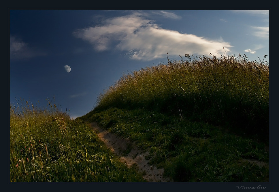 photo "Way to the Moon." tags: landscape, summer