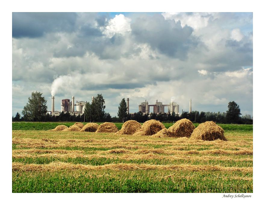 photo "Industrial-pastoral landscape" tags: landscape, summer