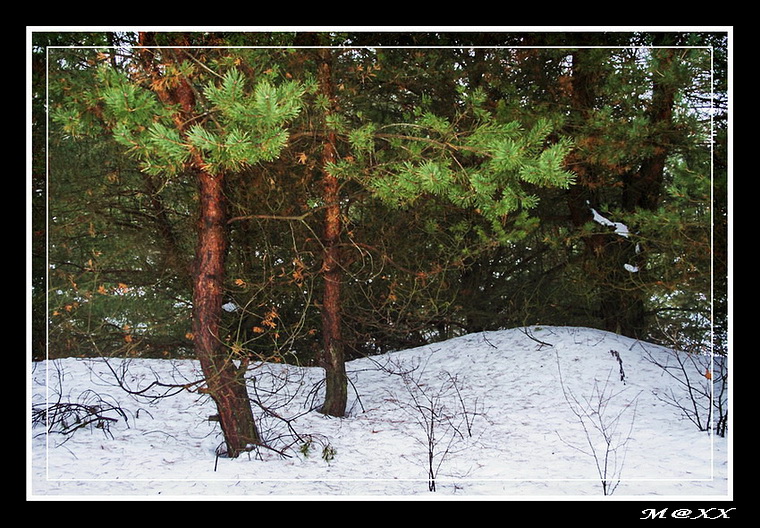 photo "###" tags: landscape, winter