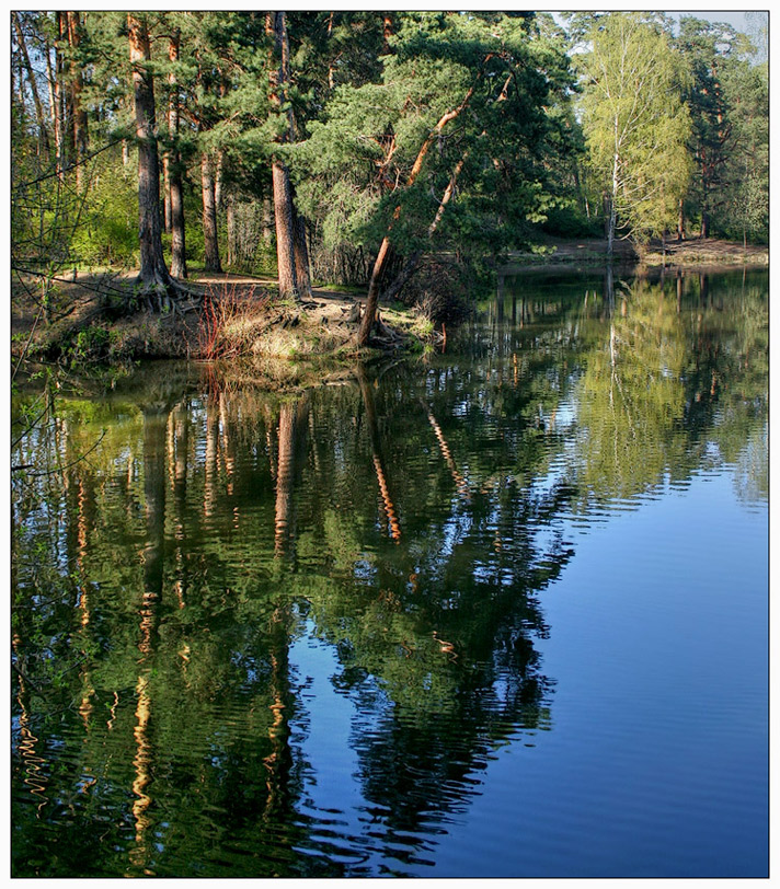 photo "Sunny Island" tags: landscape, spring, water