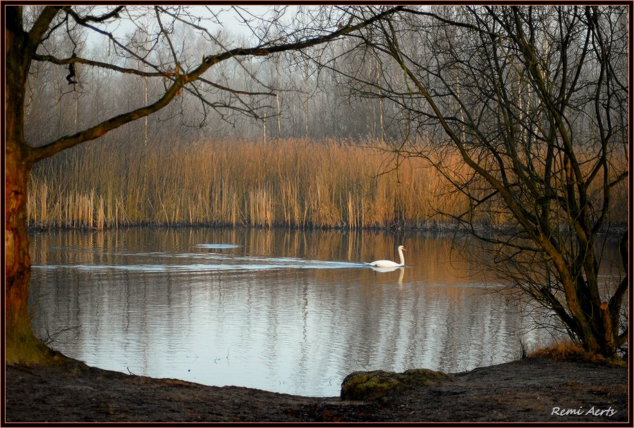 фото "one sunday morning" метки: пейзаж, природа, вода, дикие животные