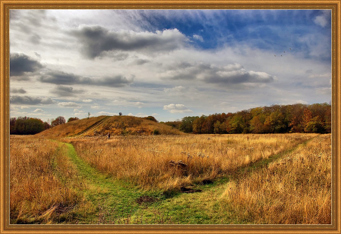 фото "Polonez" метки: пейзаж, лес, осень