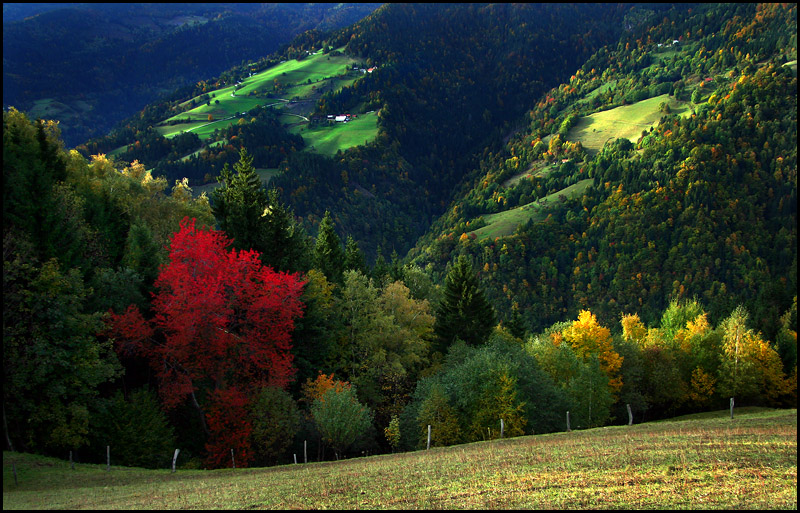 фото "The best of autumn" метки: пейзаж, натюрморт, осень