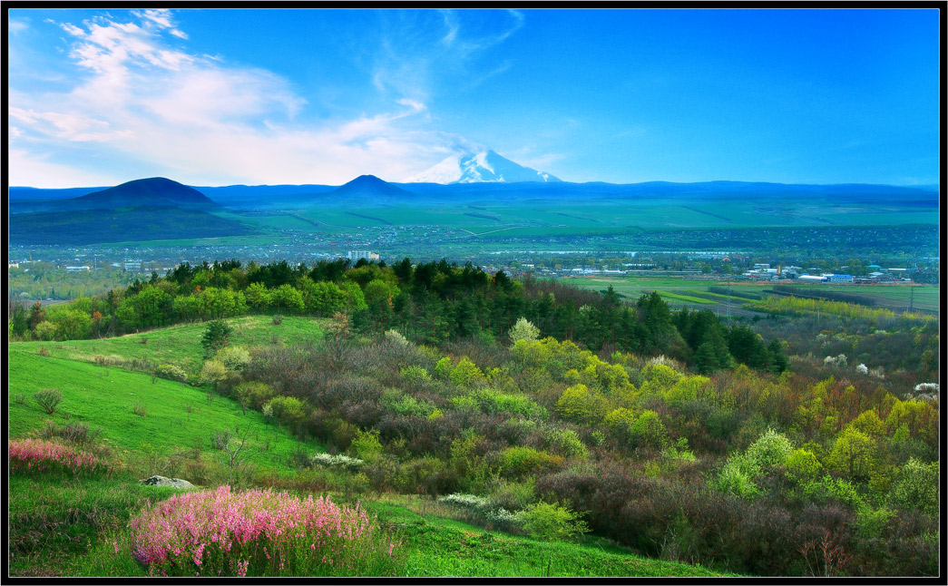 photo "Springtime in mountain" tags: landscape, spring