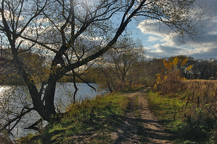 фото "Осенее солнце." метки: , 