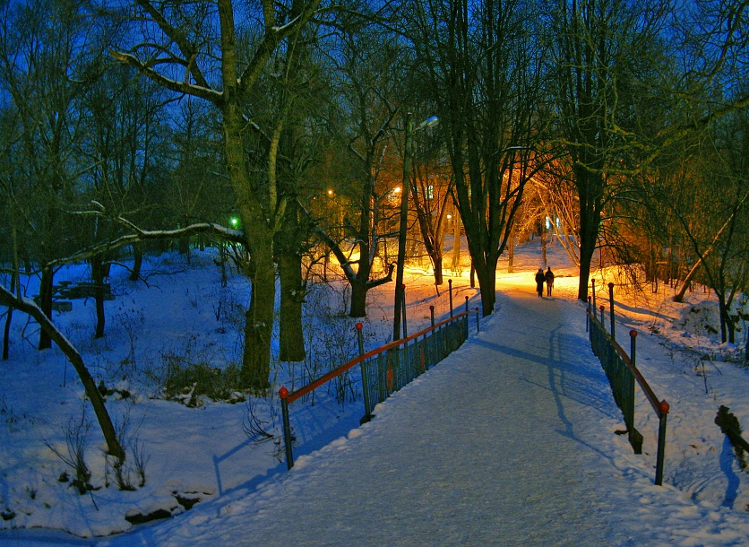 photo "***" tags: landscape, night, winter