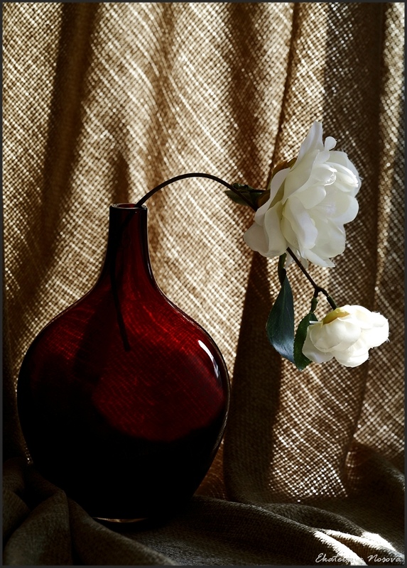 photo "***" tags: still life, 