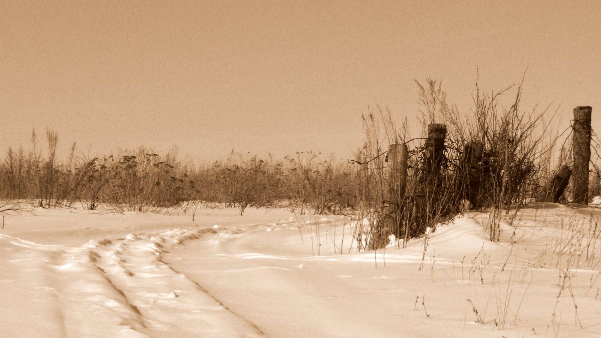 photo "***" tags: landscape, winter