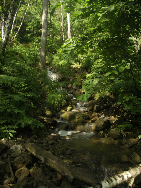 фото "Башкирский лес" метки: пейзаж, путешествия, 