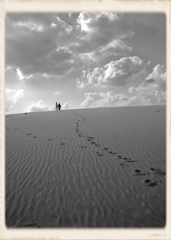 photo "Dune" tags: landscape, black&white, 