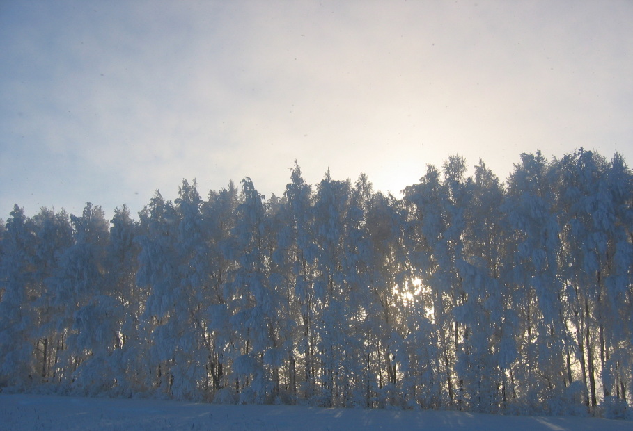 фото "Сквозь иней" метки: пейзаж, зима
